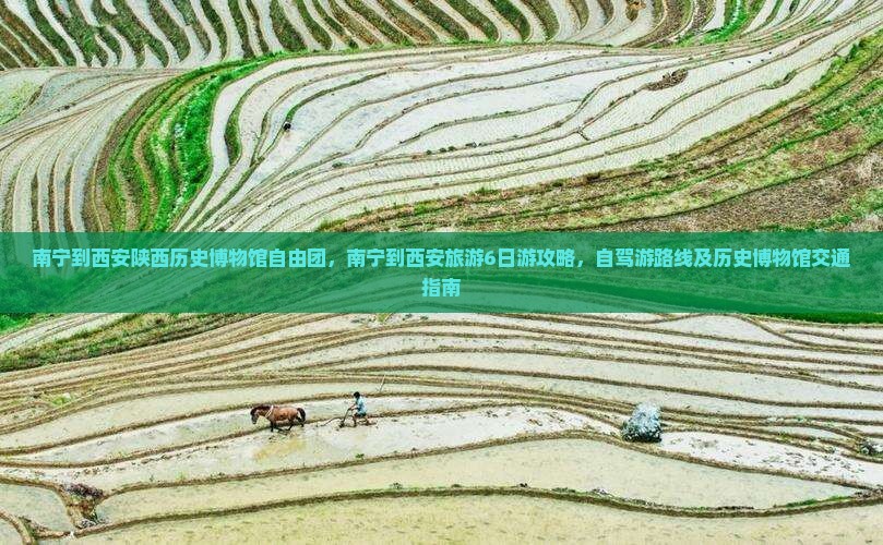 南宁到西安陕西历史博物馆自由团