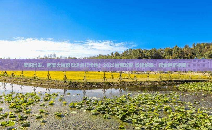 安阳到西安大雁塔必去地