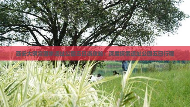 宣城到西安大明宫国家遗址公园五日游