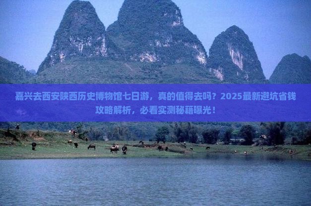 嘉兴去西安陕西历史博物馆七日游