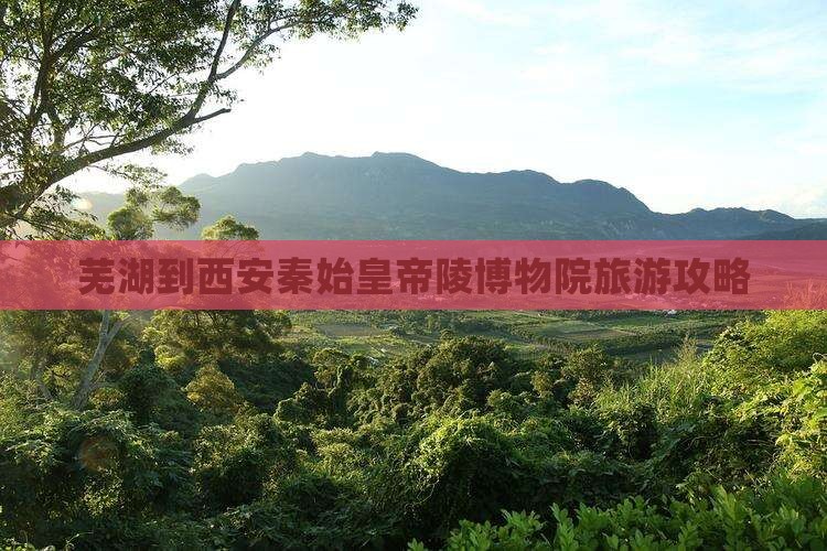 芜湖到西安秦始皇帝陵博物院旅行社
