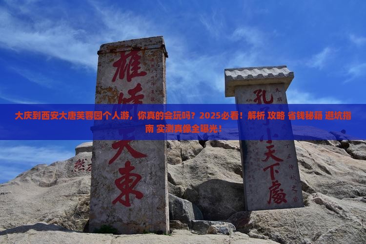 大庆到西安大唐芙蓉园个人游