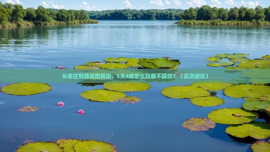 枣庄到西安回民街攻略