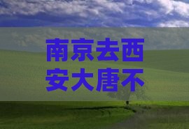 南京去西安大唐不夜城个人游
