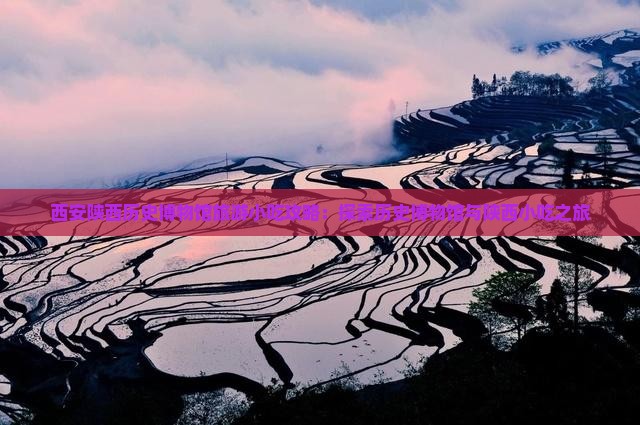 来宾去西安陕西历史博物馆旅游小吃