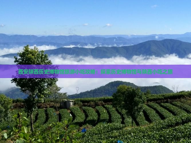 来宾去西安陕西历史博物馆旅游小吃