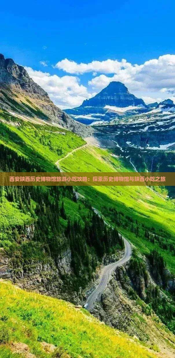 来宾去西安陕西历史博物馆旅游小吃