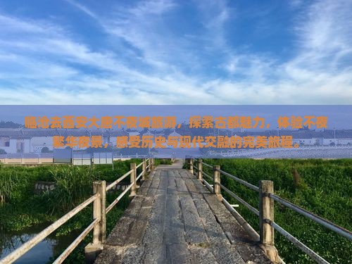 临沧去西安大唐不夜城旅游