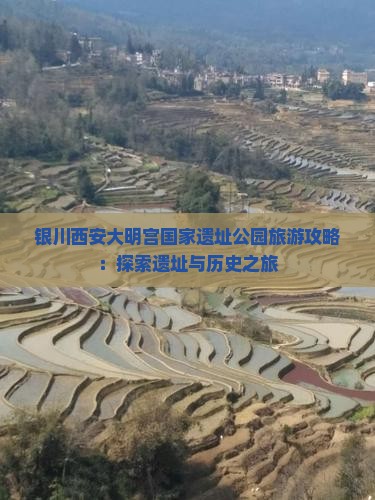 银川去西安大明宫国家遗址公园团体旅游