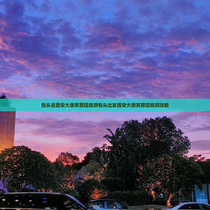 包头去西安大唐芙蓉园旅游 包头去西安大唐芙蓉园旅游