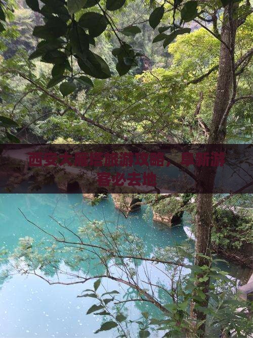阜新去西安大雁塔必去地