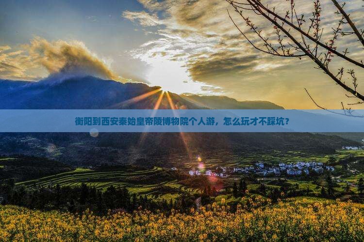 衡阳到西安秦始皇帝陵博物院个人游