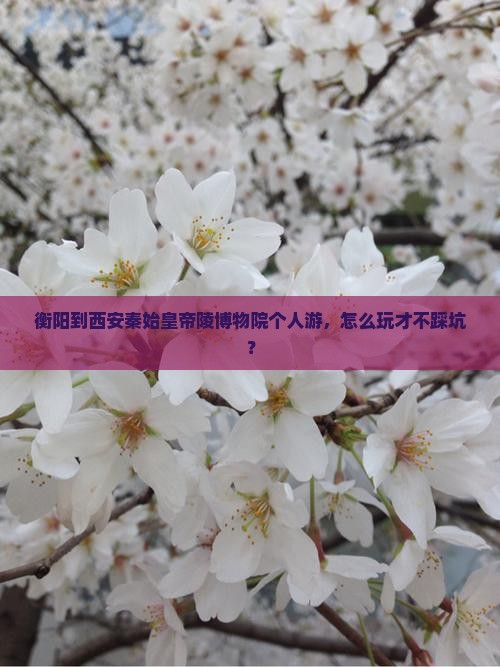 衡阳到西安秦始皇帝陵博物院个人游