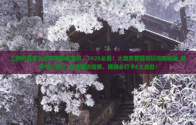 上饶到西安大唐芙蓉园哪里玩