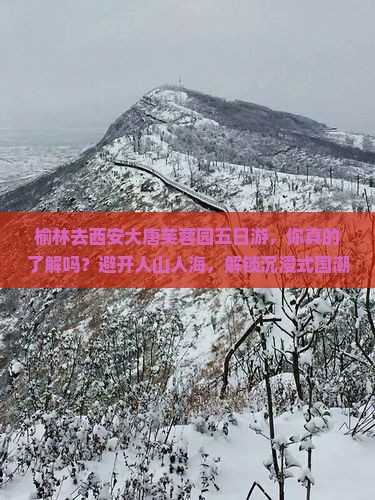 榆林去西安大唐芙蓉园五日游