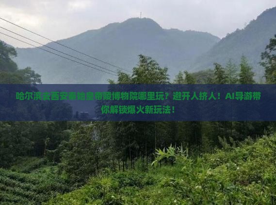 哈尔滨去西安秦始皇帝陵博物院哪里玩
