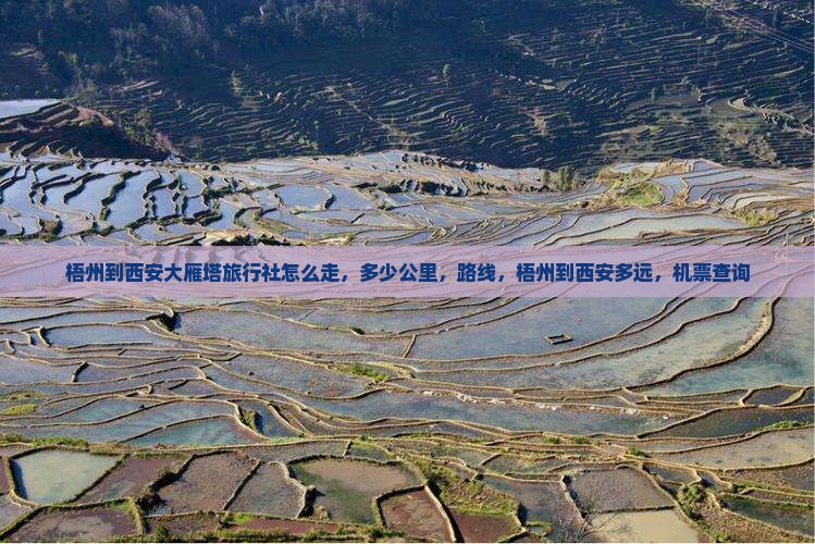 梧州到西安大雁塔旅行社
