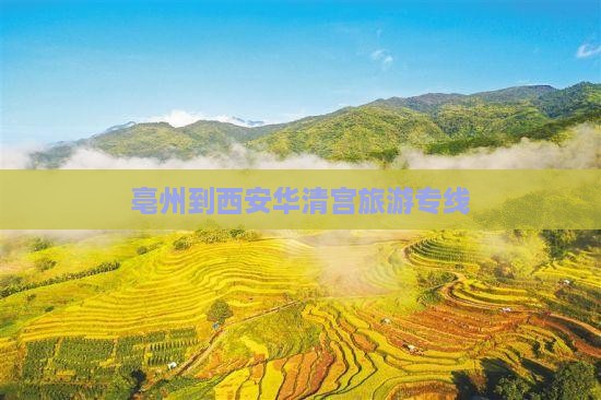 亳州到西安华清宫旅行社
