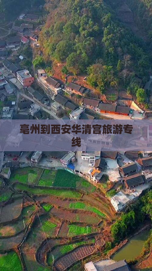 亳州到西安华清宫旅行社