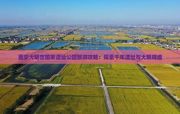 临夏去西安大明宫国家遗址公园景点