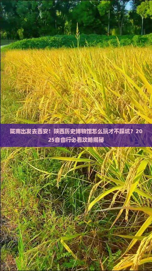 陇南去西安陕西历史博物馆自由行