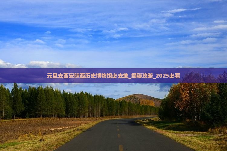 元旦去西安陕西历史博物馆必去地