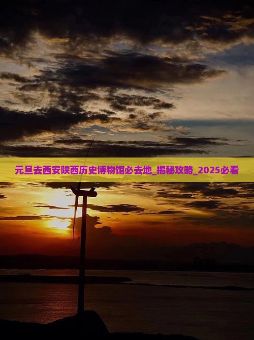 元旦去西安陕西历史博物馆必去地