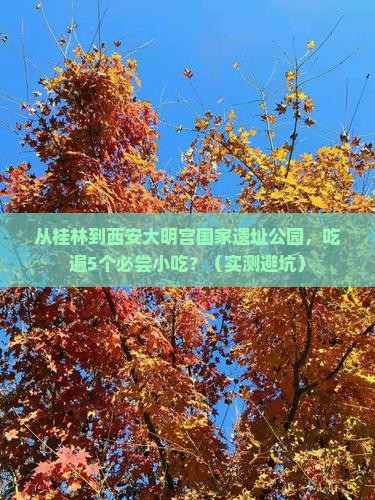 桂林到西安大明宫国家遗址公园旅游小吃