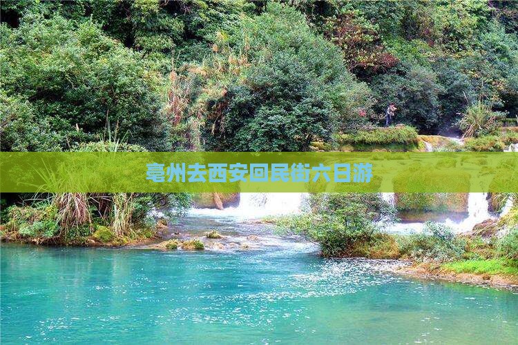 亳州去西安回民街六日游
