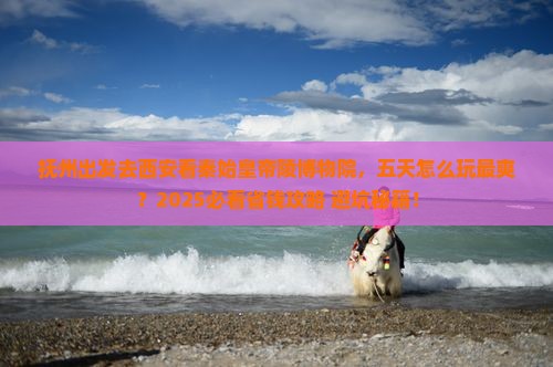 抚州去西安秦始皇帝陵博物院五日游