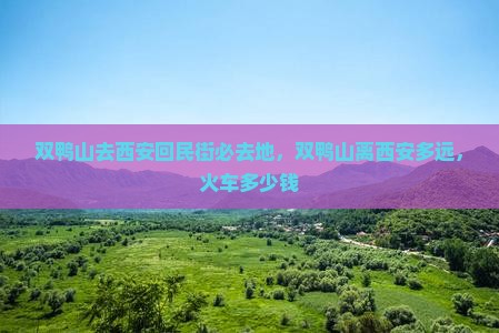 双鸭山去西安回民街必去地