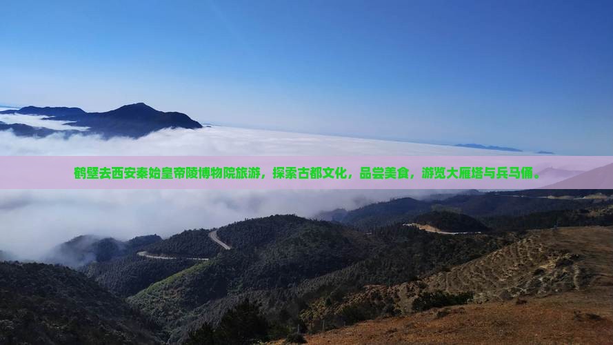 鹤壁去西安秦始皇帝陵博物院旅游