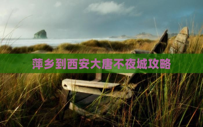 萍乡到西安大唐不夜城哪里玩