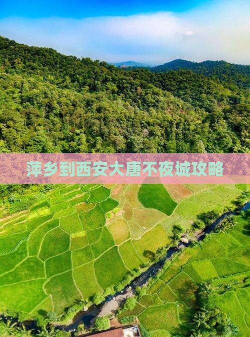 萍乡到西安大唐不夜城哪里玩