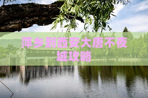 萍乡到西安大唐不夜城哪里玩