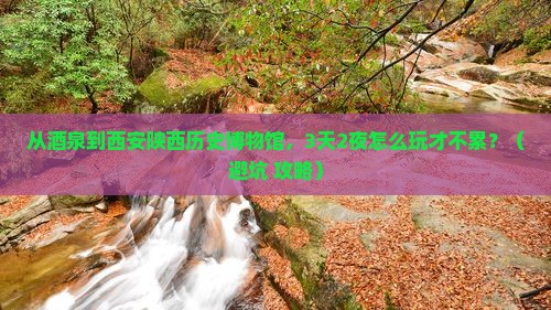 酒泉到西安陕西历史博物馆旅游