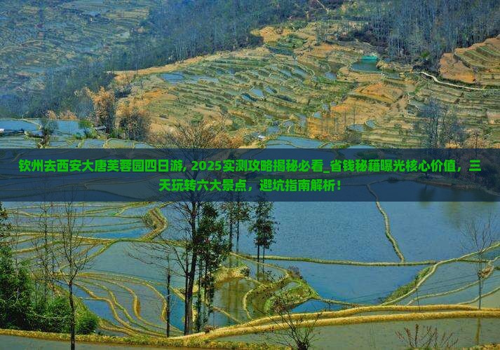 钦州去西安大唐芙蓉园四日游
