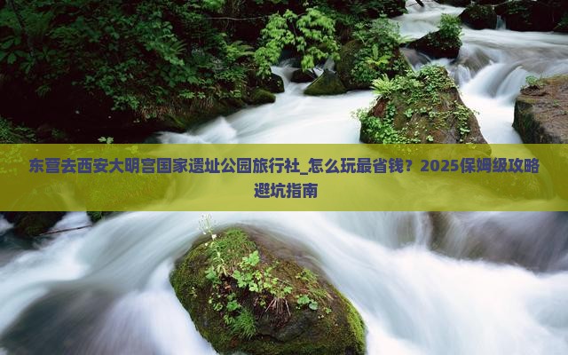 东营去西安大明宫国家遗址公园旅行社