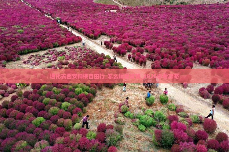 通化去西安钟楼自由行
