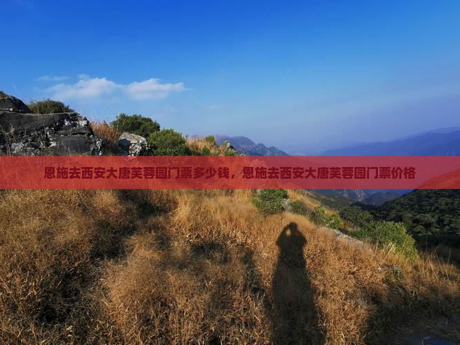 恩施去西安大唐芙蓉园门票