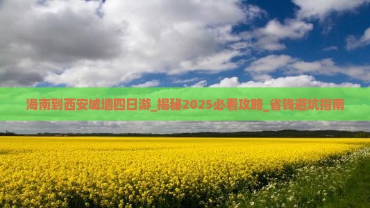 海南到西安城墙四日游