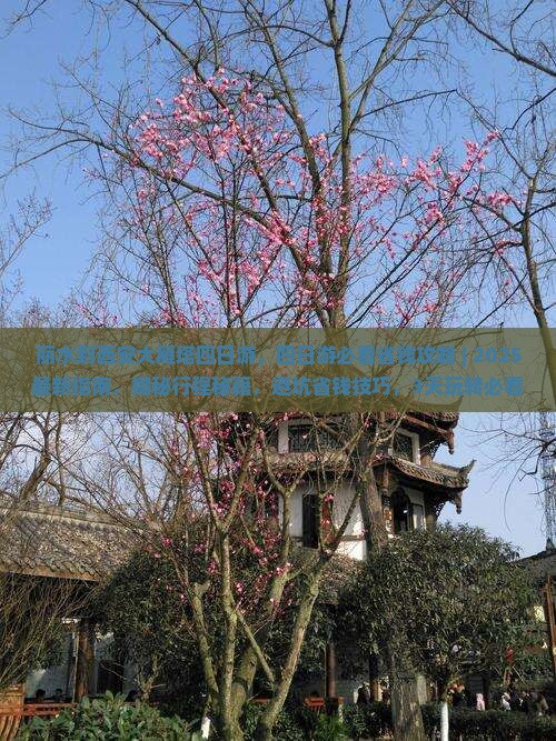 丽水到西安大雁塔四日游