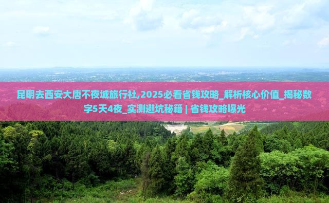 昆明去西安大唐不夜城旅行社 昆明去西安大唐不夜城旅行社