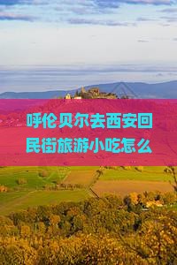 呼伦贝尔去西安回民街旅游小吃