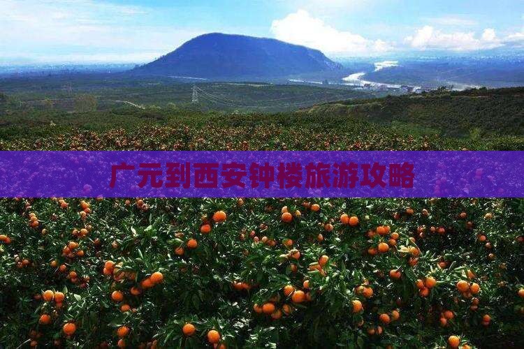 广元到西安钟楼个人游