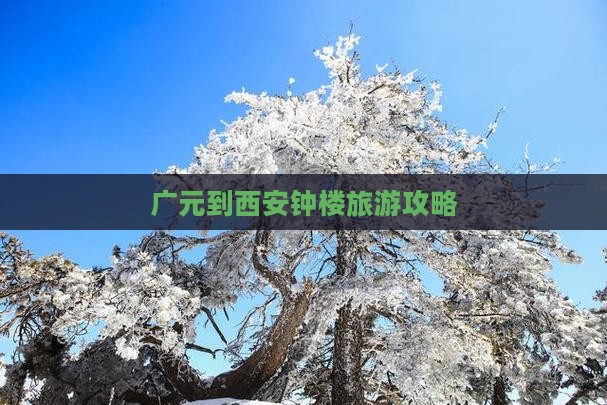广元到西安钟楼个人游