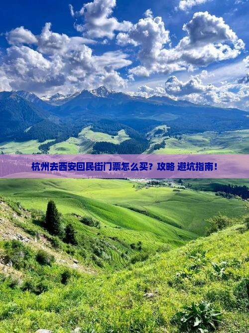 杭州去西安回民街门票