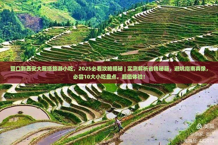 营口到西安大雁塔旅游小吃