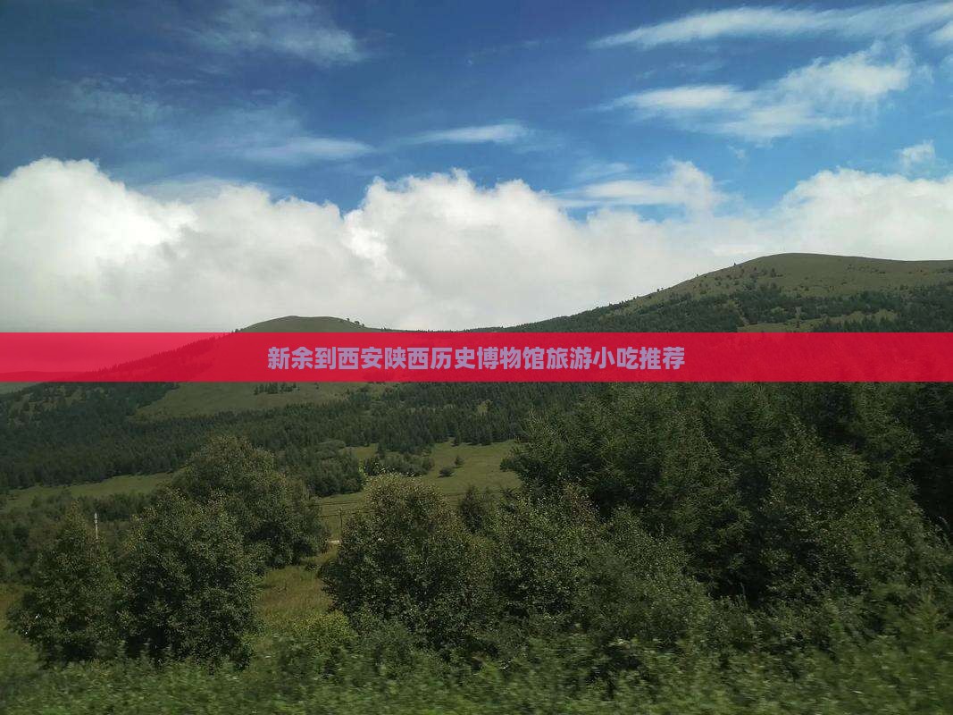新余到西安陕西历史博物馆旅游小吃