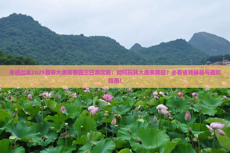 孝感到西安大唐芙蓉园三日游
